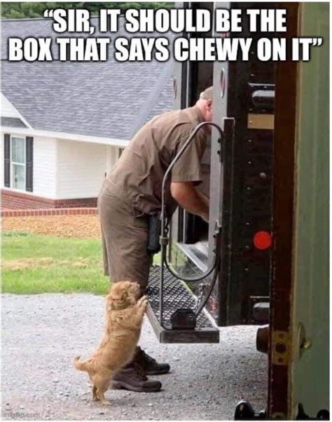 The War Between Dog And Mailman Has Finally Ended Dogs Know Your Meme
