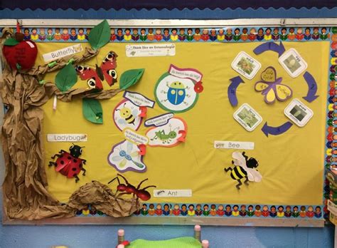 Insect Classroom Display Photo Sparklebox Insects Theme Classroom