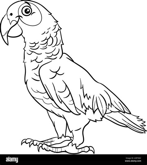 Cartoon Grey Parrot Bird Animal Character Coloring Book Page Stock