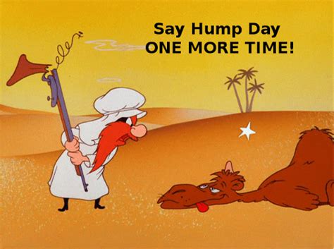 Hump Day Funny Camel Yosemite Sam The Digest