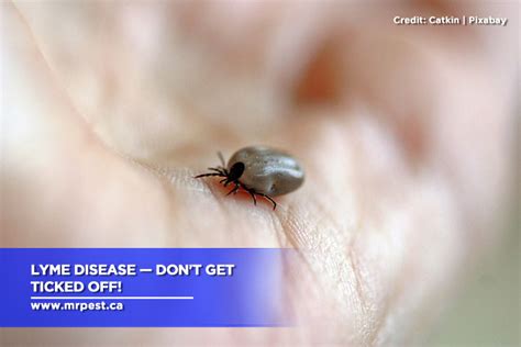 Lyme Disease — Dont Get Ticked Off