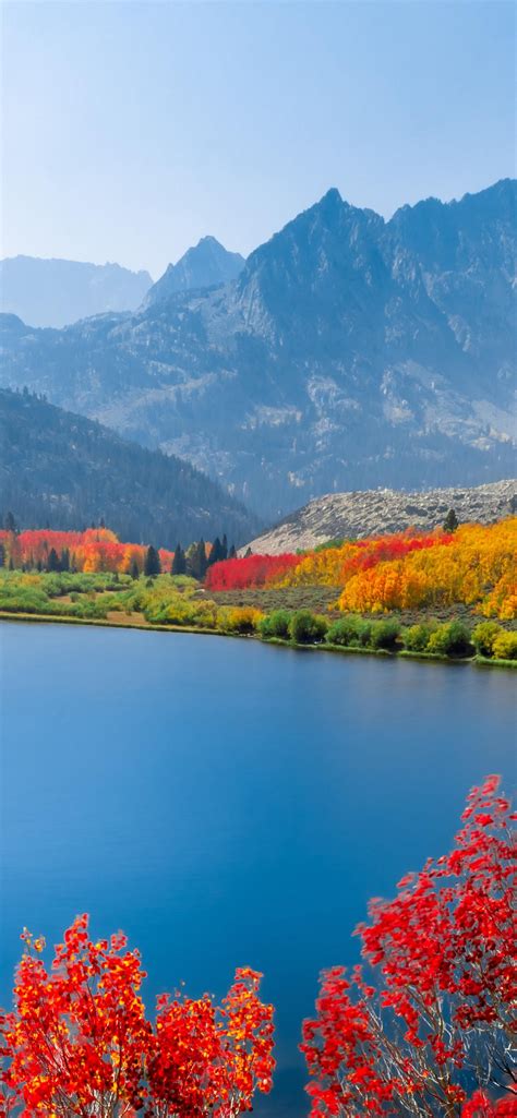 Autumn Trees Wallpaper 4k Lake Mountain Range Daytime