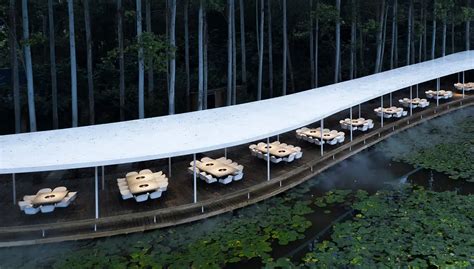 Restaurant Hidden Within The Forest By Muda Architects Dsigners