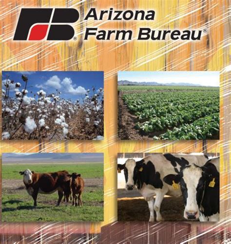 What No One Tells You About Arizona Agriculture