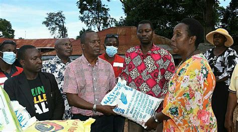 Entebbe Mp Rosemary Tumusiime Wrestles Bulls 3 Weeks To Elections Entebbe News