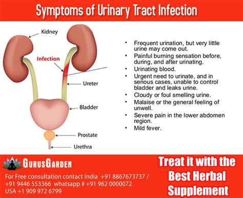 Symptoms Of Urinary Tract Infection Bladderhealthsupplement Urinary