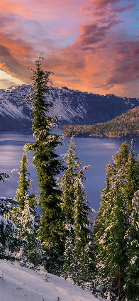 1125x2436 Winter Snow Trees Mountains Landscape Hdr 4k