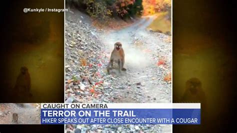 Utah Hiker Has Terrifying Encounter With Cougar