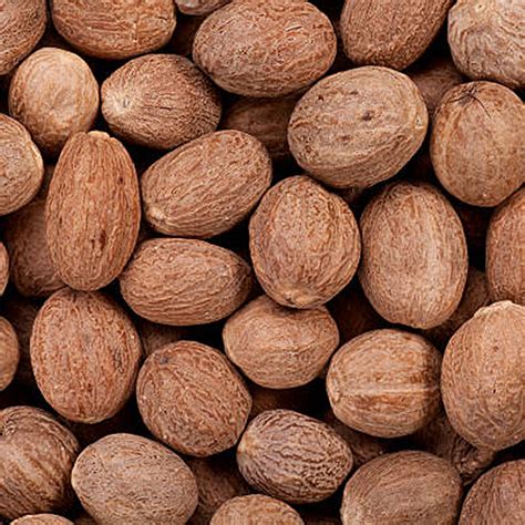Nutmeg Abcd Quality Wholesale Supplier Exporter Kerala India
