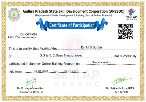 My Achievements Certificate Of Participation Summer Online Training