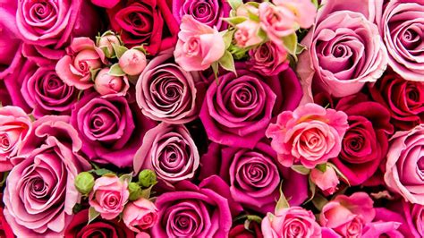 Affordable and quick way to send some flowers to a loved one. Why flowers get so expensive on Valentine's Day