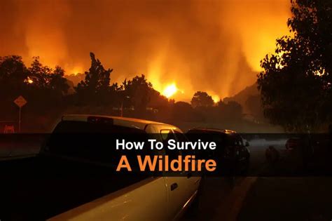 How To Survive A Wildfire Urban Survival Site
