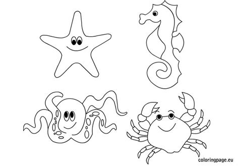 Lets go on an amazing adventure with our under the sea coloring pages, so many fantastic colors, beautiful fish, strange plants…. Sea animals coloring page | Animal coloring pages, Ocean ...