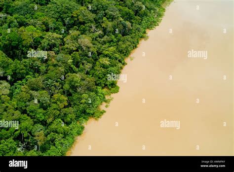 Amazon Rainforest And Yavari River Aerial Stock Photo Alamy