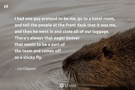 12 Beaver Quotes To Unleash Your Industrious Self