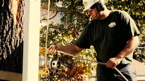 City of hawthorne recreation & community services department tree service request. Brothers' Tree Service -- About us - YouTube