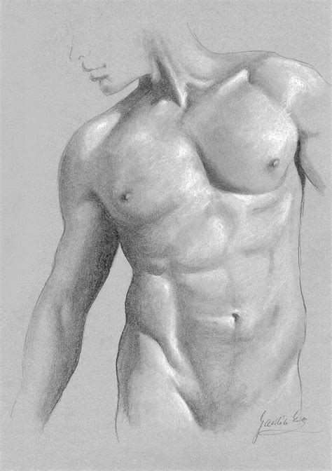 Male Nude Drawing By Ewa Gawlik Fine Art America