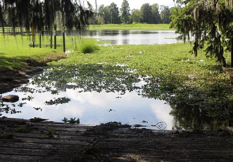 Alligator Lake Boat Ramp Alligator Lake Boat Ramp Alligat Flickr