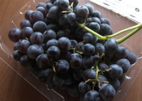 Check spelling or type a new query. Thomcord Grapes