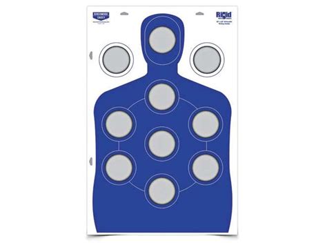 Top 12 Rimfire Targets For New And Experienced Shooters