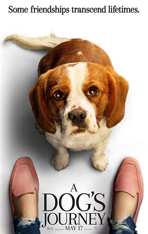 Bruce cameron bestsellere alapján készült, szívet melengető film a nagy sikerű egy kutya négy élete folytatása. Egy kutya négy útja (The Dog's Journey) 2019 | Kutya, Filmek