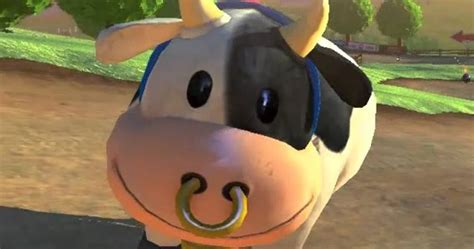 Moo Moo Meadows Cow Video Gallery Know Your Meme