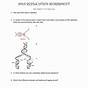 Dna Replication Worksheet Answers