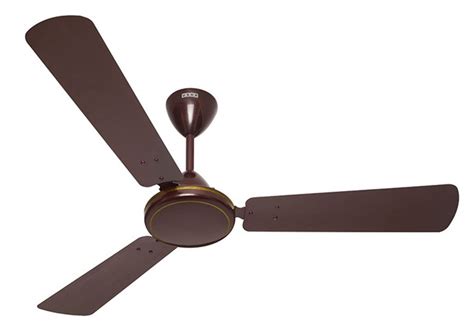 Buy Usha Super Striker 1200mm Ceiling Fan Rich Brown Online At Low