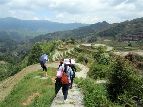 China Top Hiking Routes Longji Rice Terrace China Travel Guide