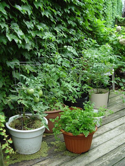 Get your garden on with planters and pots for both indoors and out. Garden Housecalls - Veggie-Gardening without the Garden