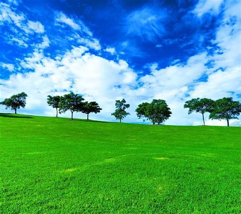 1920x1080px 1080p Free Download Orchard Clouds Field Landscape