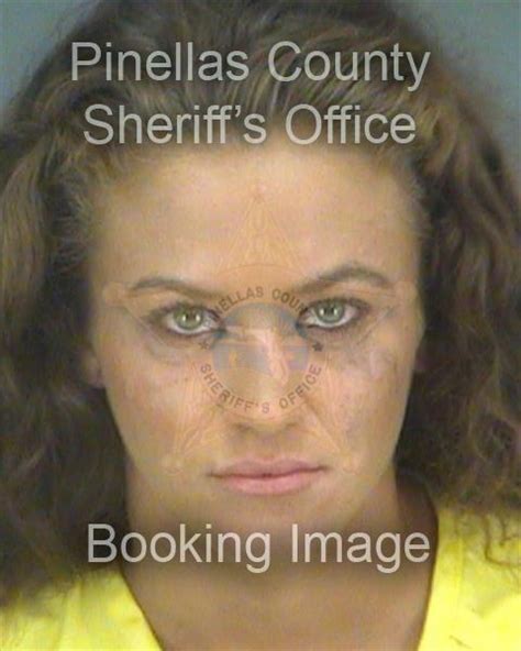 pinellas beaches jail bookings june 25 july 1 pinellas beaches fl patch