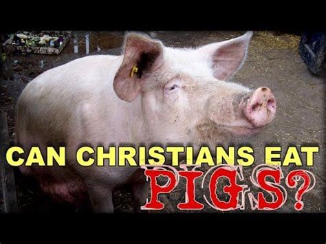 Christians may eat pork because god has declared it once more to be clean. Can Christians Eat Pork? | Christianity, Eat, Do not eat