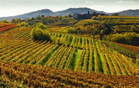 Maybe you would like to learn more about one of these? Seeing orange: autumn in Slovenia | Slovenia travel, Visit ...