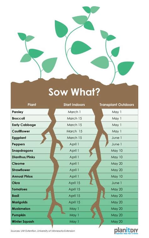 Check spelling or type a new query. Planning A Garden (Part 1): Plant Schedule | PlanItDIY ...