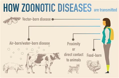 Climate Past Present And Future Are The Risks Of Zoonotic Diseases