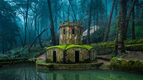 Nature Architecture Trees Forest Old Building Water Lake Tower