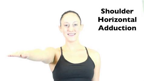 Shoulder Horizontal Adduction Interactive Biology With