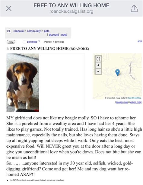 Not sure if your pet is microchipped? 'Free to a good home' Craigslist advert sees dog owner try ...