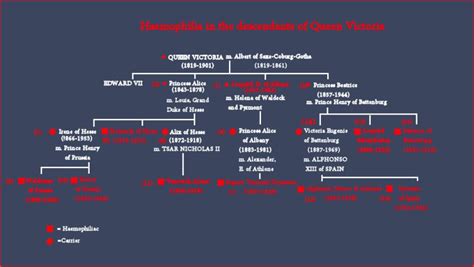 Get the free fillable hemophilia the royal disease case study answer key form online. Haemophilia acquired the name the royal disease due to the ...