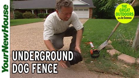 Used Underground Dog Fence You May Want To Check Out Petsafes Pro