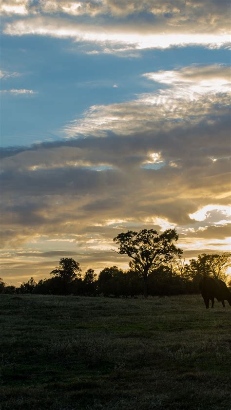 Texas Sunset Wallpapers 4k Hd Texas Sunset Backgrounds On Wallpaperbat