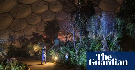 Christmas At The Eden Project In Pictures Uk News