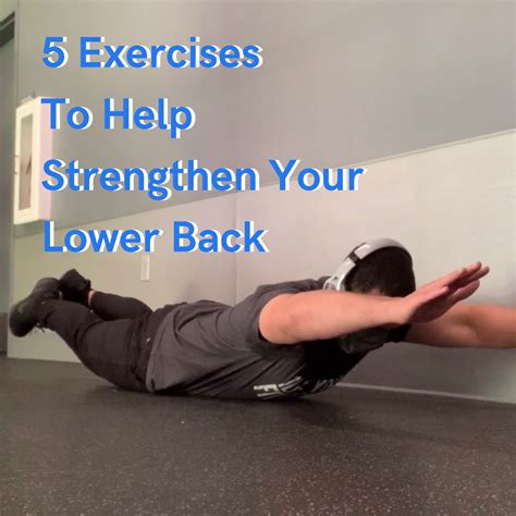 5 Exercises To Help Strengthen Your Lower Back 1life 1you