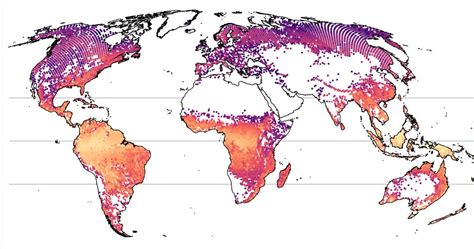 Erste Lückenlose Weltkarte Der Baumarten Vielfalt Solarify