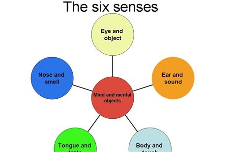 Wisdom Through Mindfulness Our Six Senses Are Responsible For Our Own