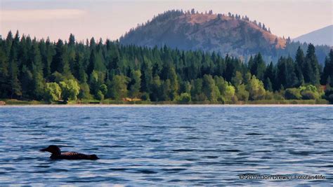 Gardom Lake British Columbia Canada Flickr