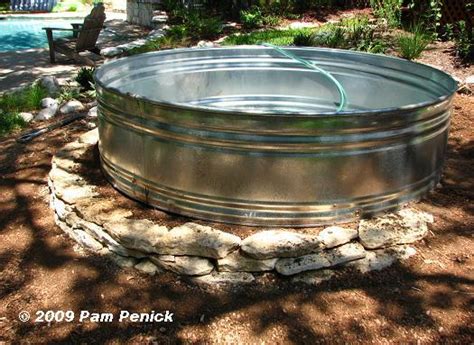 Shares dived to a new low immediately after the results were released, trading below. How to make a container pond in a stock tank - Digging