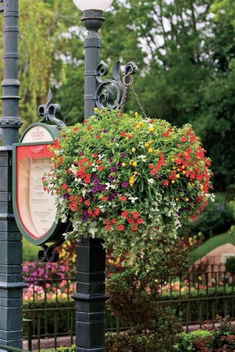 Our Best Container Gardening Ideas Container Gardening Hanging