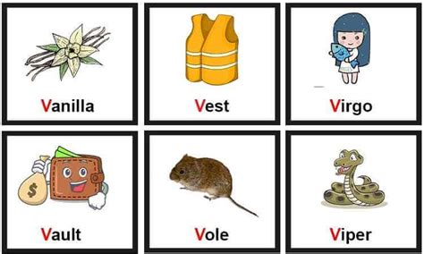 Learn Vocabulary Words That Start With V For Kids The Soft Roots